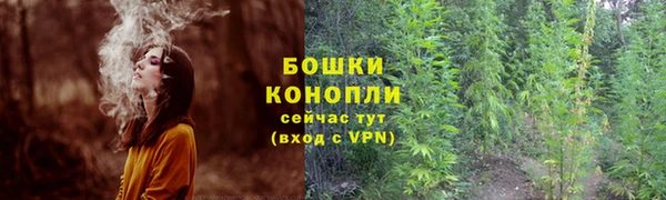 ALPHA PVP Магас