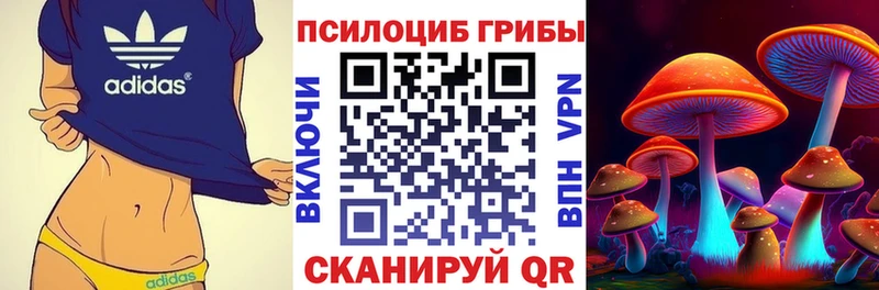 Галлюциногенные грибы прущие грибы  что такое наркотик  Кисловодск 