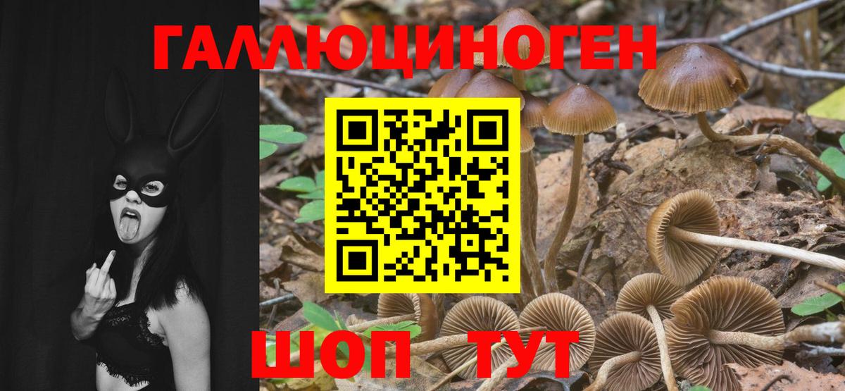 продажа наркотиков  Вход с VPN  Кисловодск  Псилоцибиновые грибы мухоморы  Псилоцибиновые грибы MAGIC MUSHROOMS 